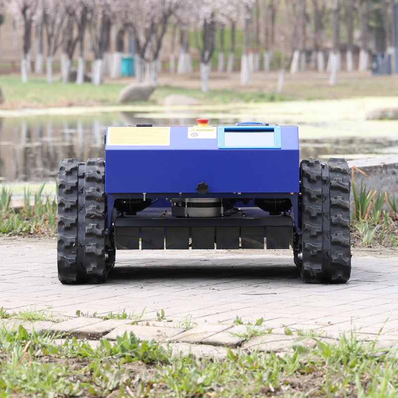 Kundenspezifischer Roboter-Ras – Smart Home Robot Bewertung und Preis